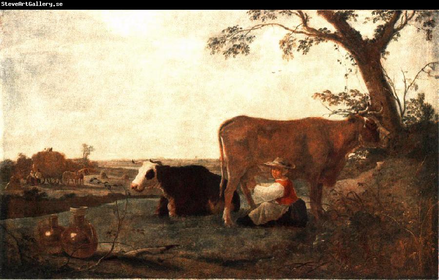 CUYP, Aelbert The Dairy Maid dfg